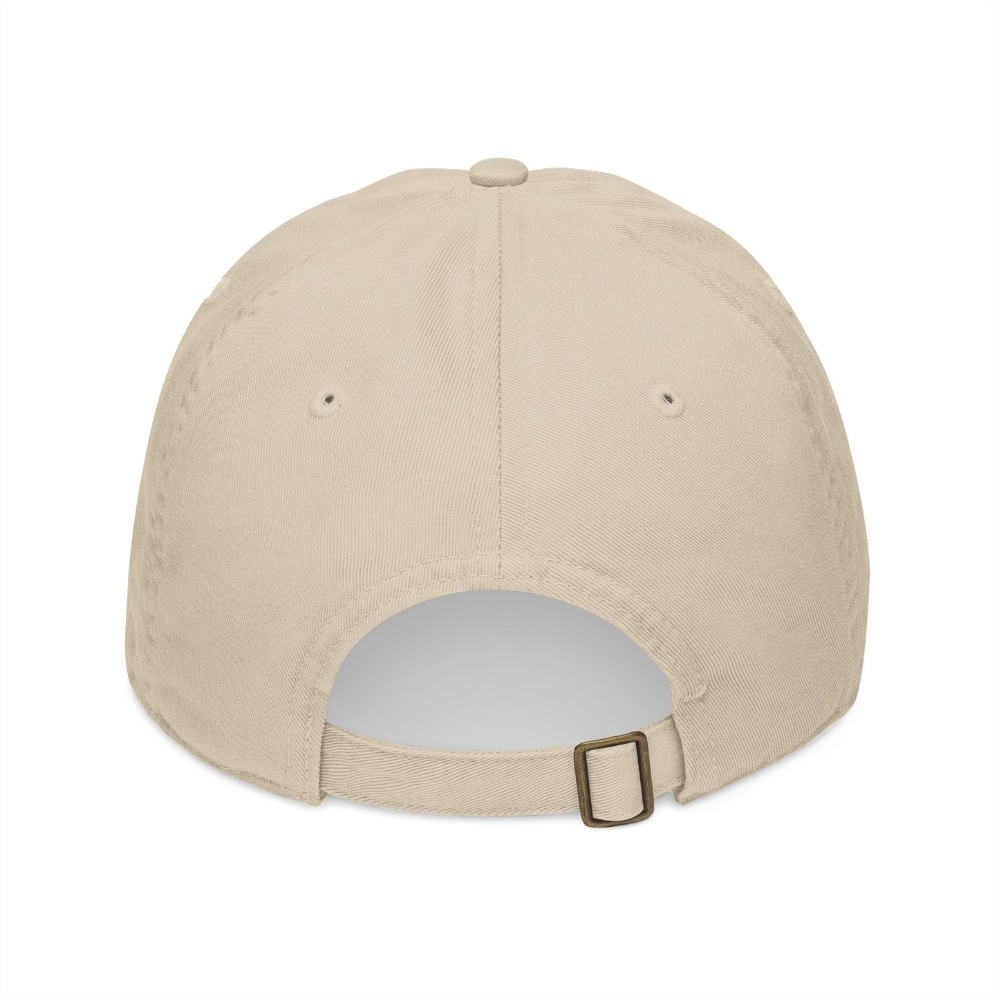 DLRS Embroidered Baseball Cap